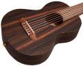 Ortega RGL5EB _b