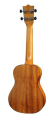 Puka PK-PEC_1
