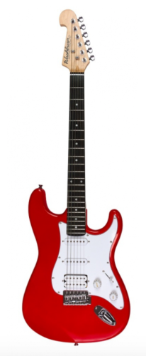 WASHBURN WS 300 H (R)