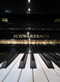 SCHWARZBACH SB-125 PE