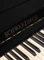 SCHWARZBACH SB-125 PE