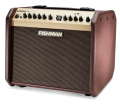Fishman Loudbox Mini Bluetooth