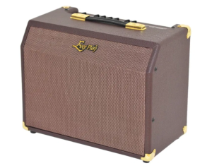 Wzmacniacz akustyczny z CHORUSEM EVER PLAY 25C