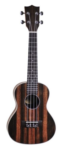 Segovia Ebony-21S.jpg