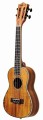 Segovia KOA-21S.jpg