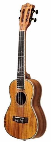 Segovia KOA-21S.jpg
