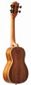 Segovia KOA-21S Ukulele Sopranowe 2.jpg