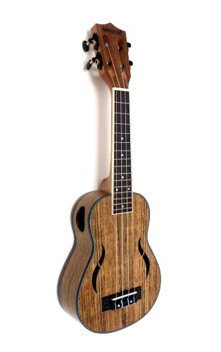 Wallnut-s21.jpg