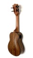 Wallnut-s21_2.jpg
