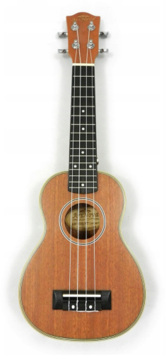 Ars Nova AN-100 S NT