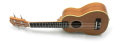 Ars Nova AN-100 S